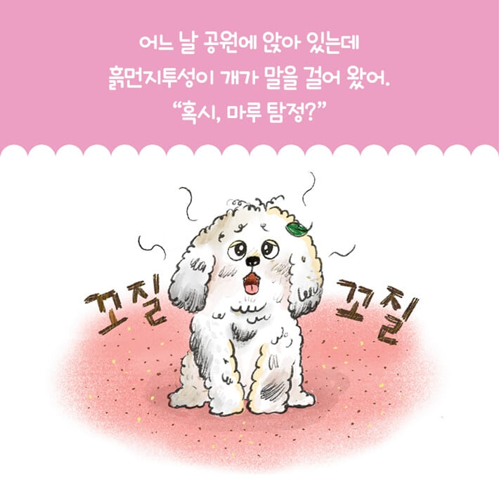 카드뉴스2
