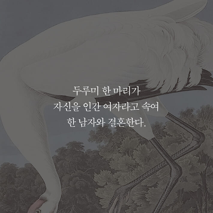 카드뉴스2