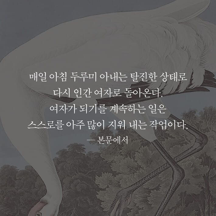 카드뉴스4