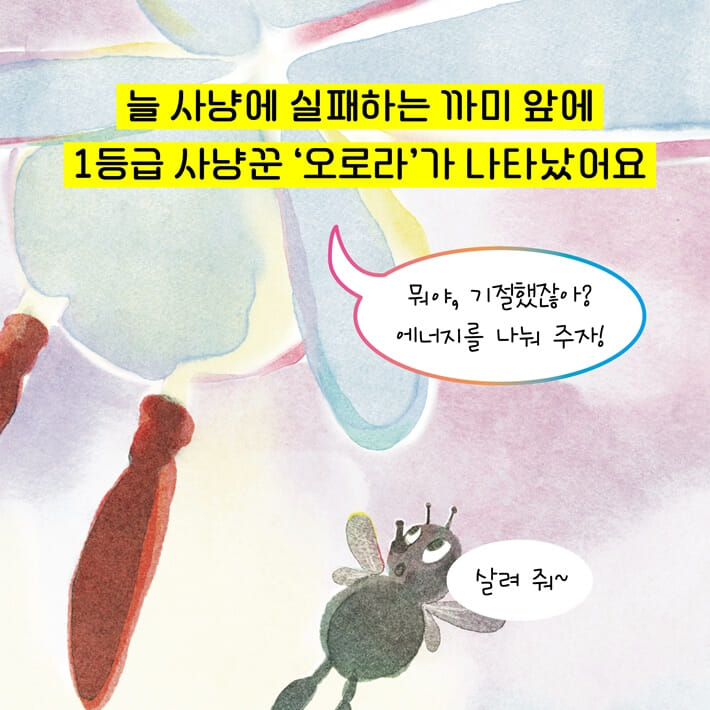 카드뉴스2