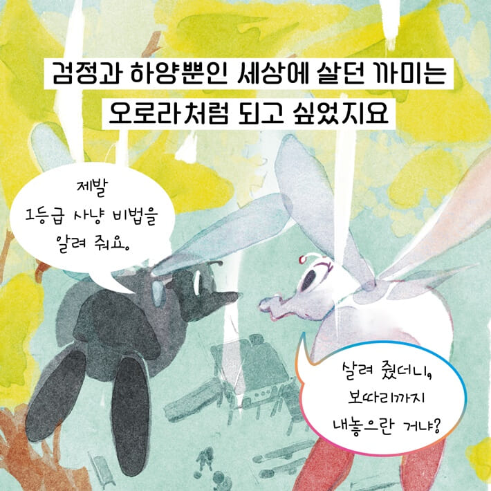 카드뉴스3