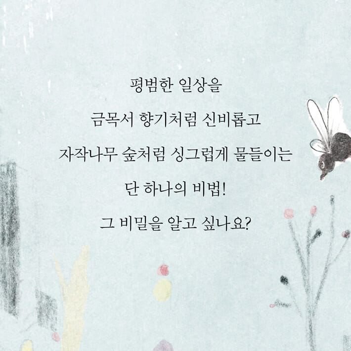 카드뉴스5