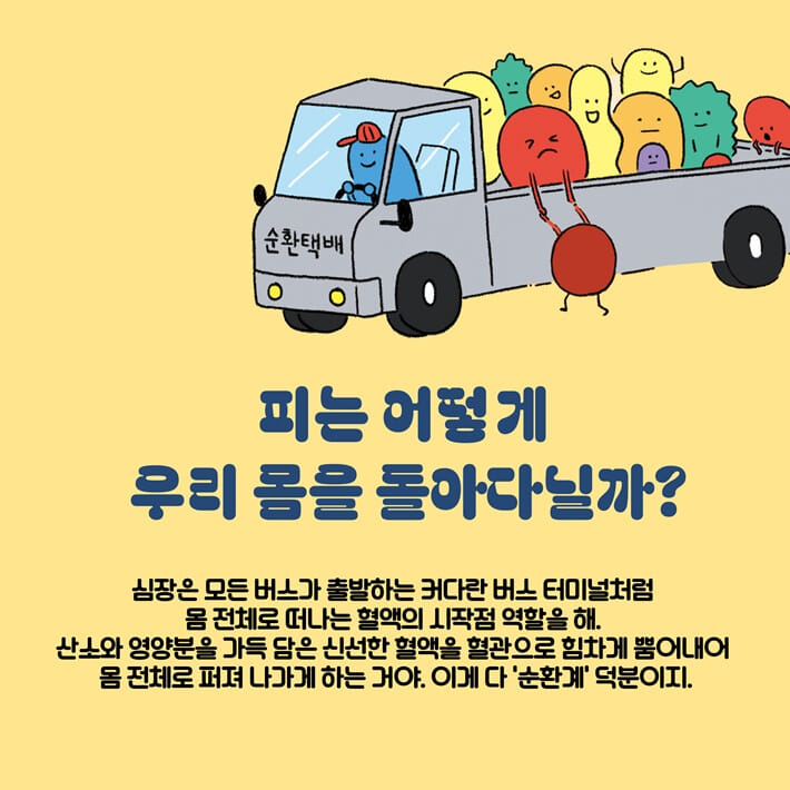 카드뉴스3