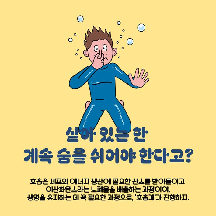 카드뉴스4