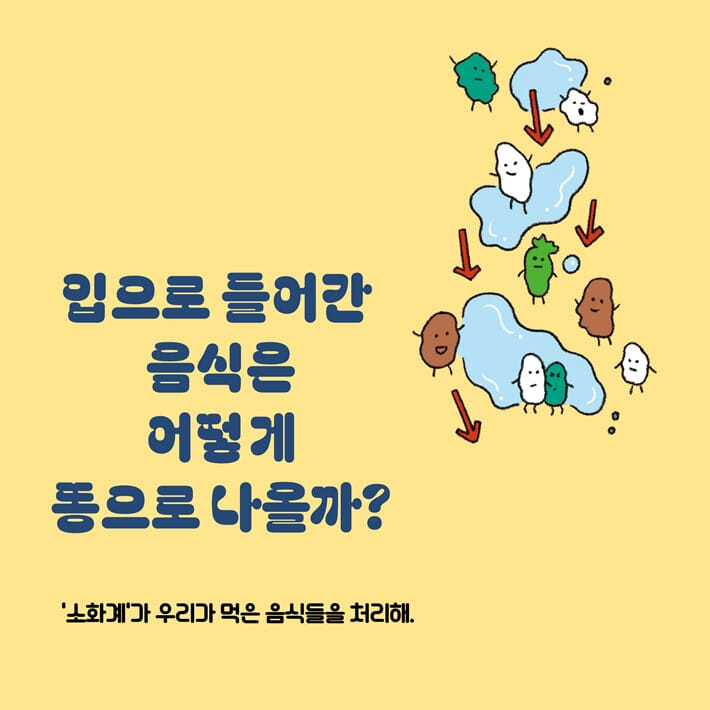 카드뉴스5