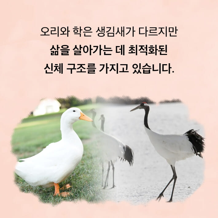 카드뉴스2