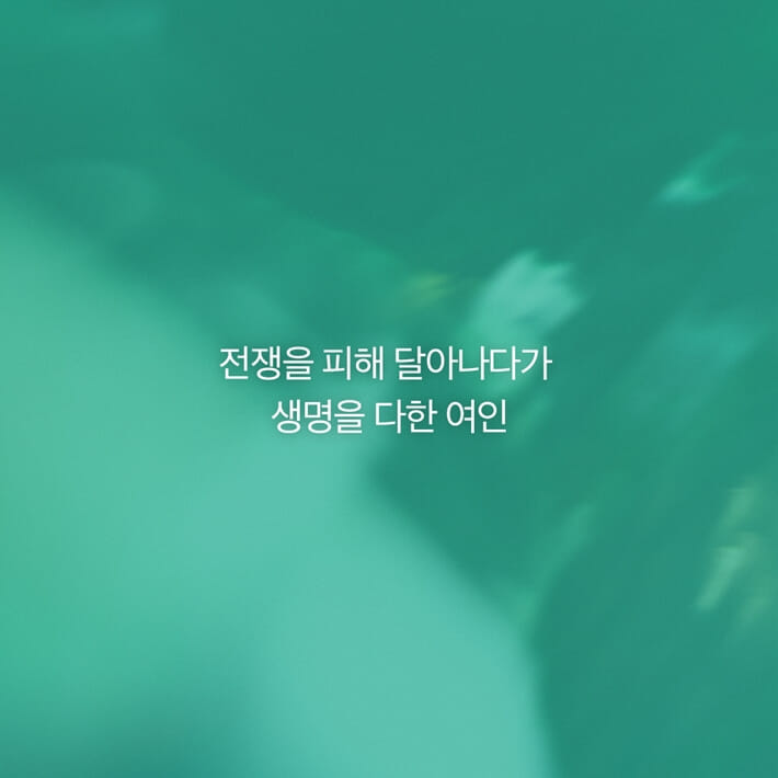 카드뉴스3