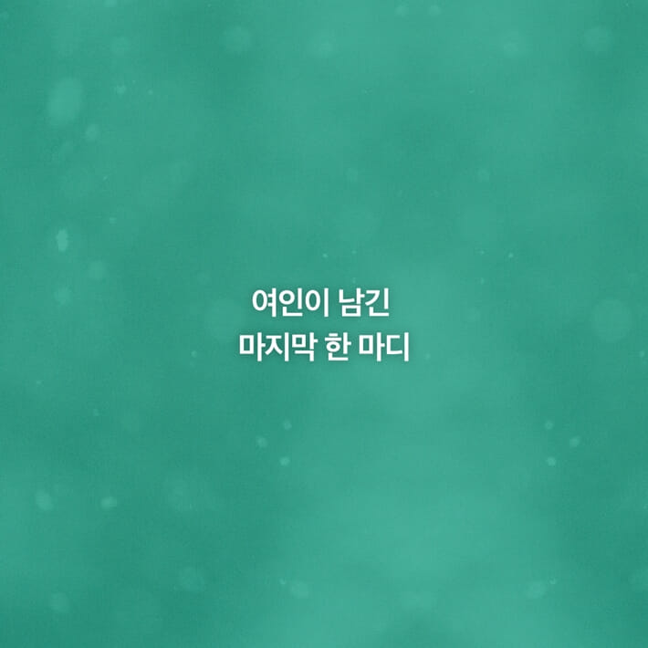 카드뉴스4