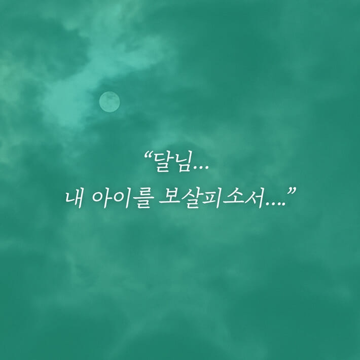 카드뉴스5