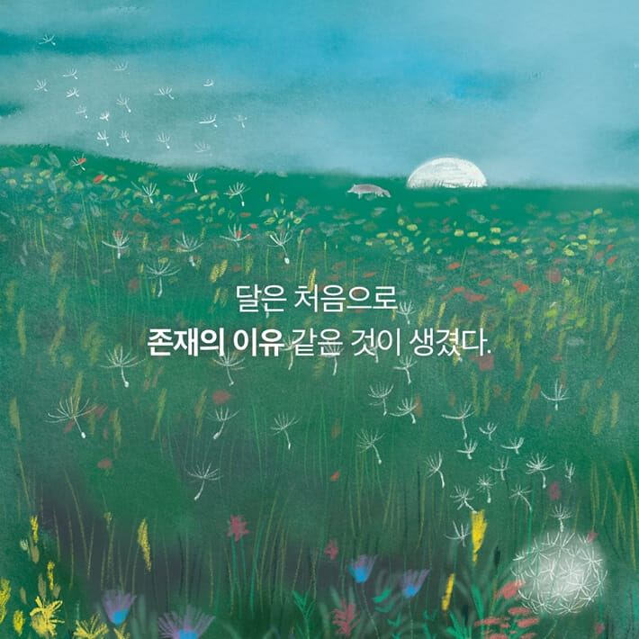 카드뉴스7