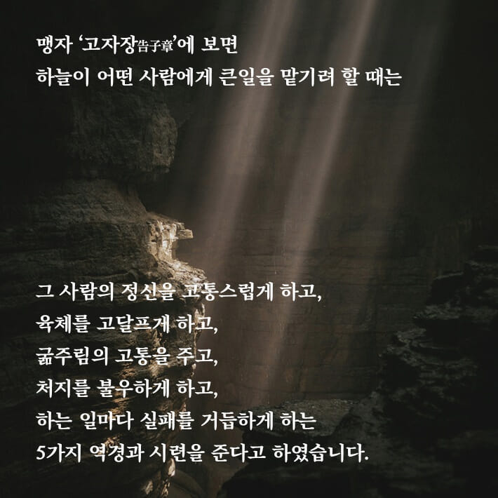 카드뉴스12