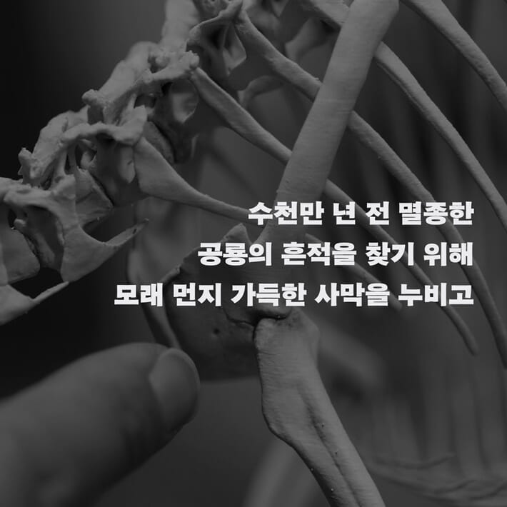 카드뉴스5