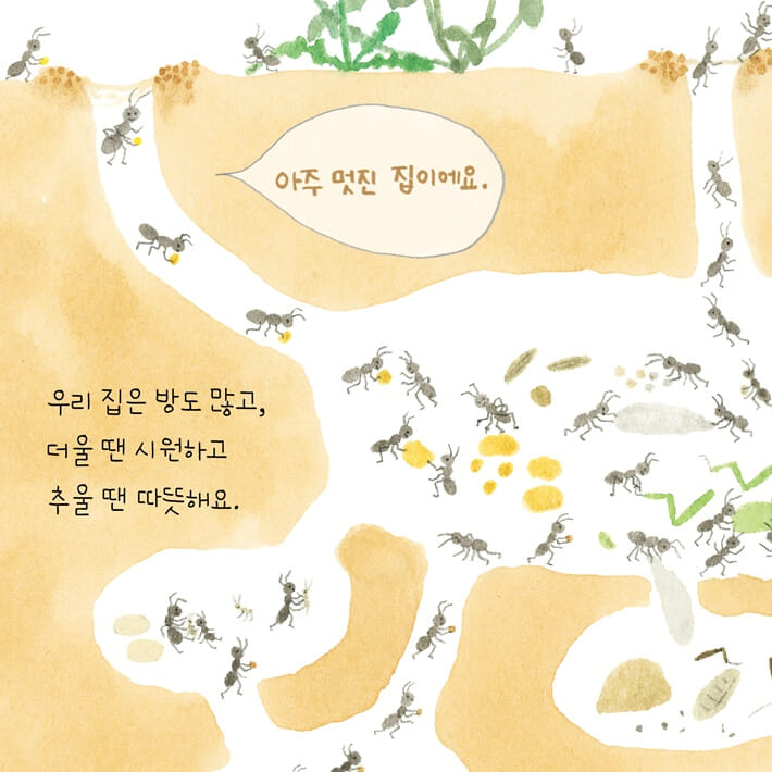 카드뉴스1