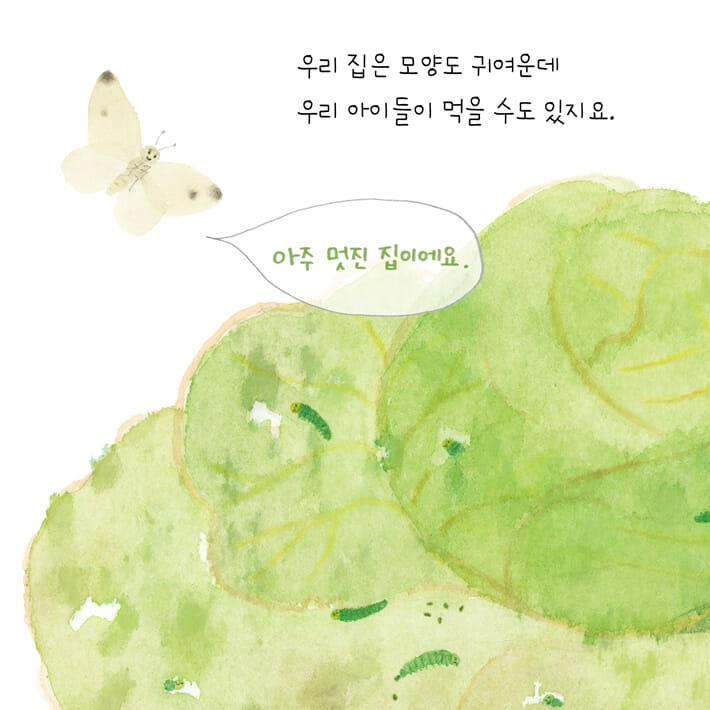 카드뉴스2