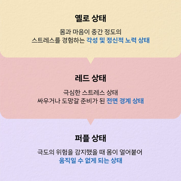 카드뉴스5