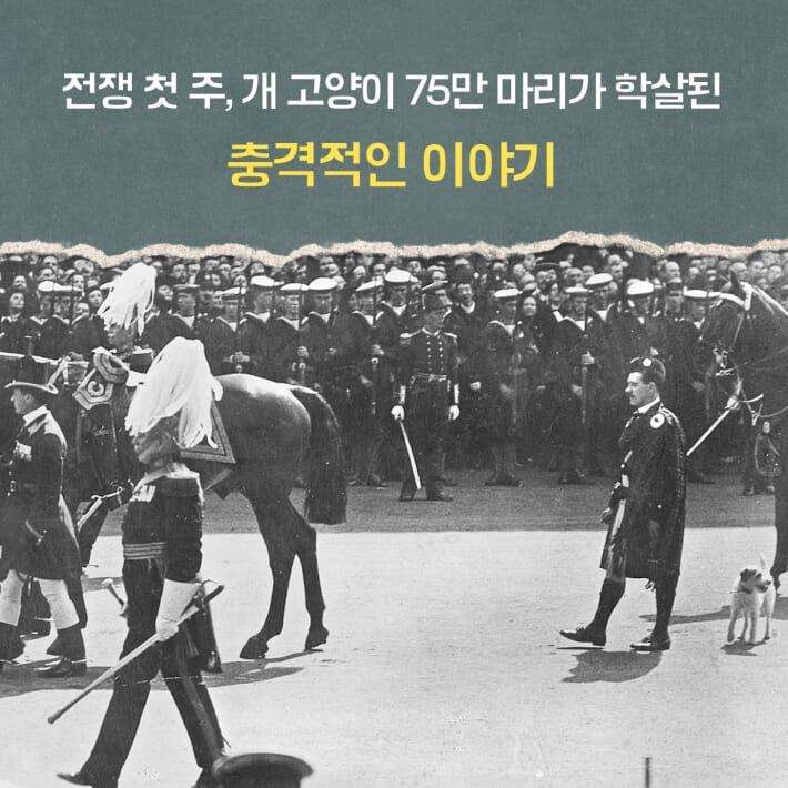 카드뉴스1
