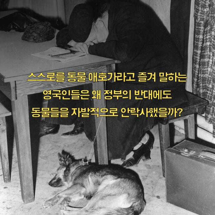 카드뉴스2