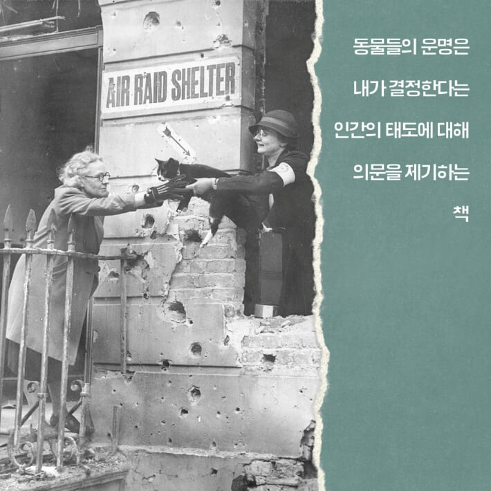 카드뉴스3