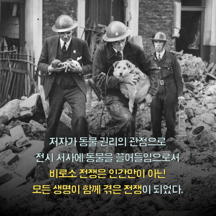 카드뉴스4