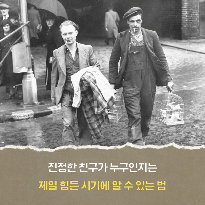카드뉴스5