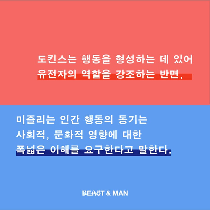 카드뉴스4