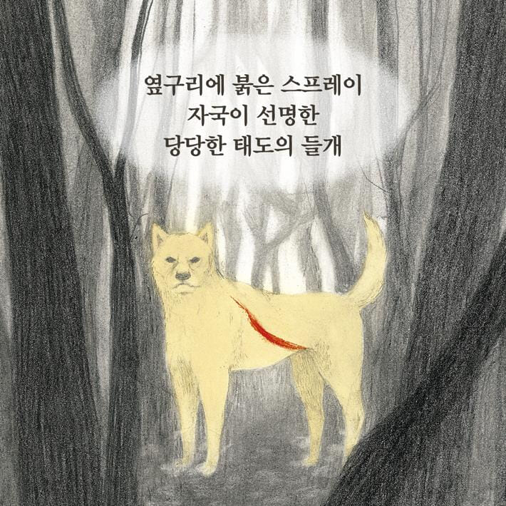 카드뉴스0