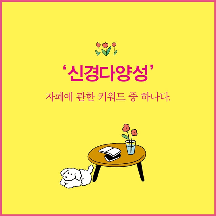 카드뉴스8