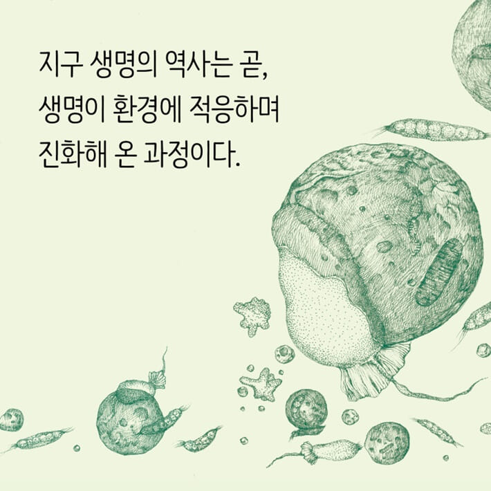 카드뉴스1
