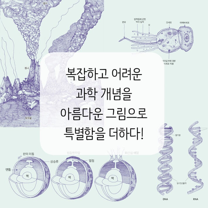 카드뉴스2