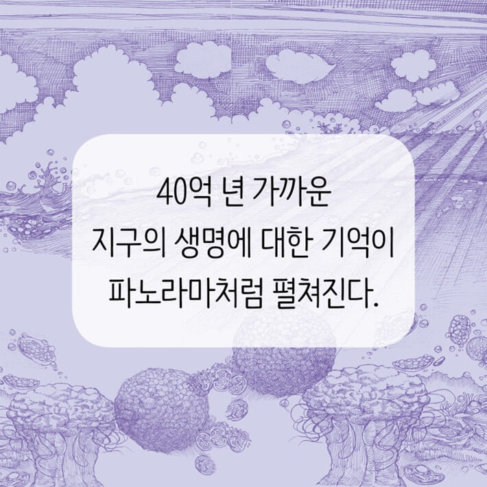 카드뉴스3