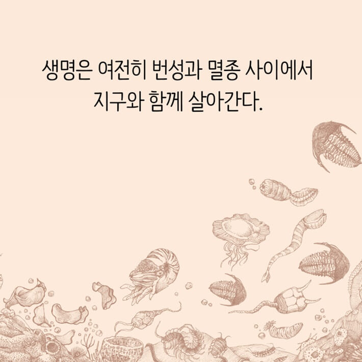 카드뉴스8