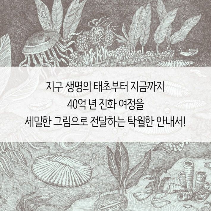 카드뉴스11