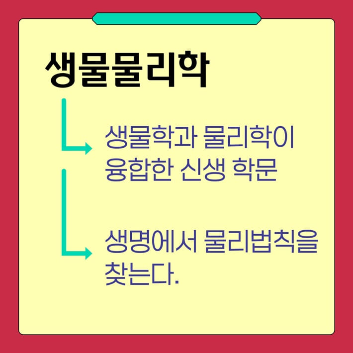 카드뉴스0