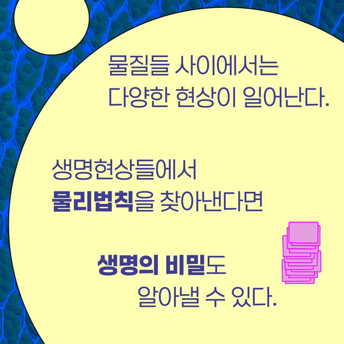 카드뉴스2