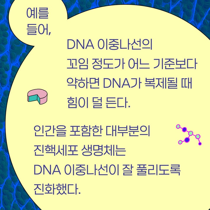 카드뉴스3