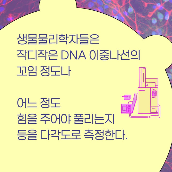 카드뉴스4