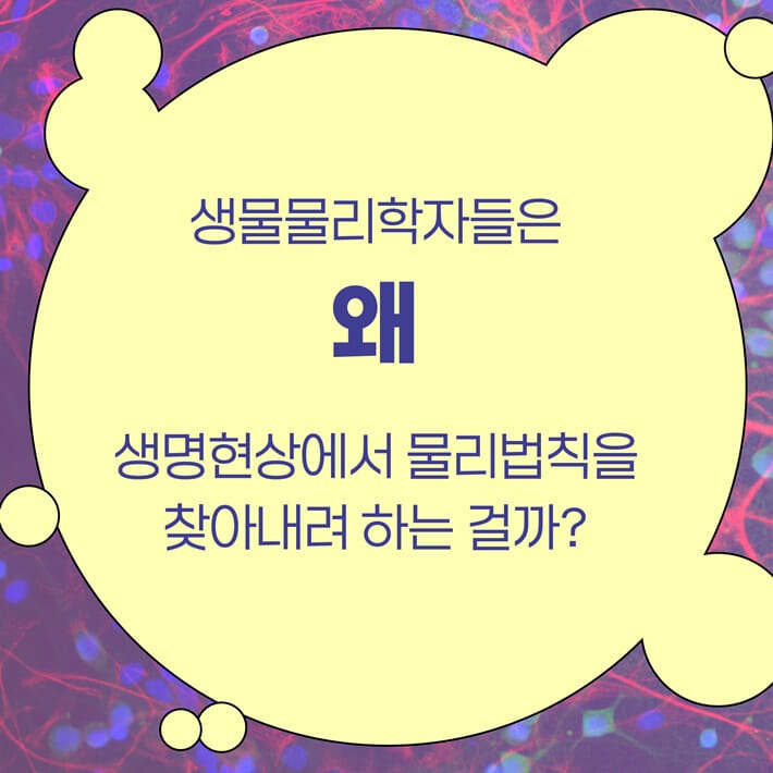 카드뉴스5
