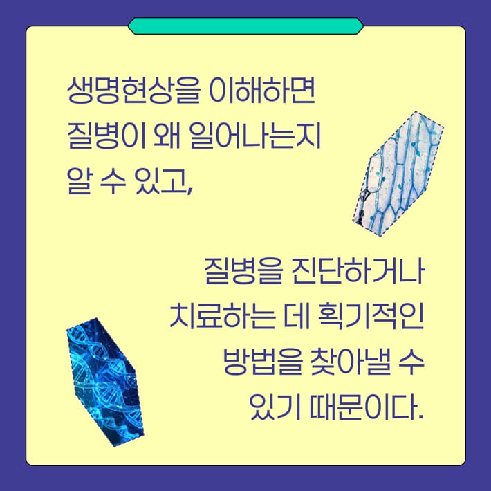 카드뉴스6