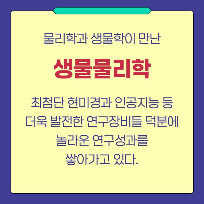 카드뉴스7