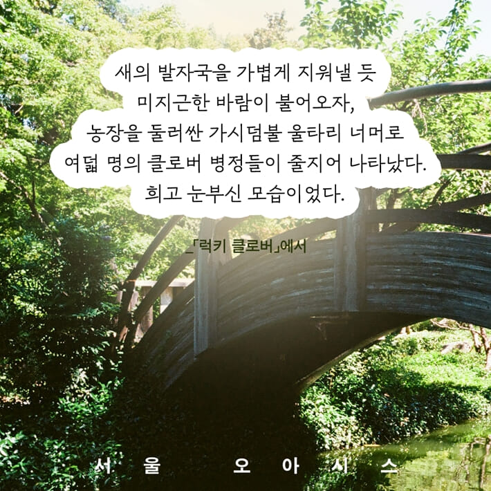 카드뉴스5