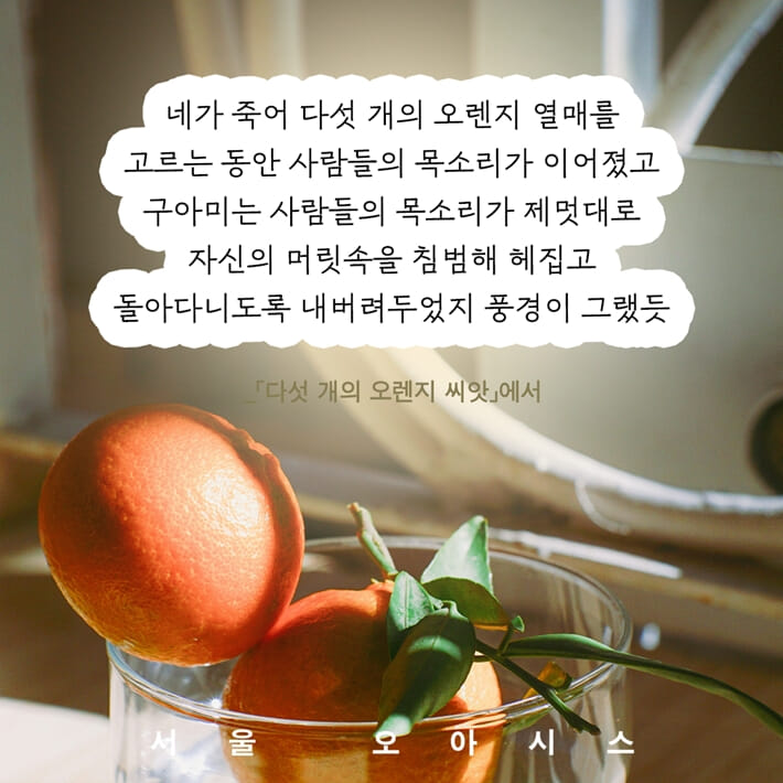 카드뉴스7