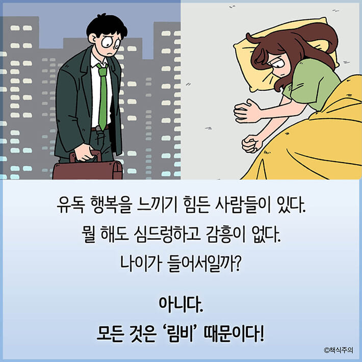 카드뉴스1
