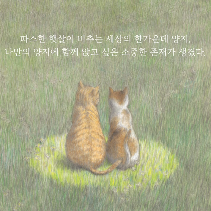카드뉴스0