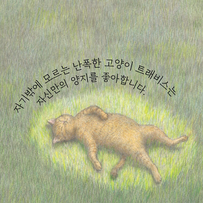 카드뉴스2