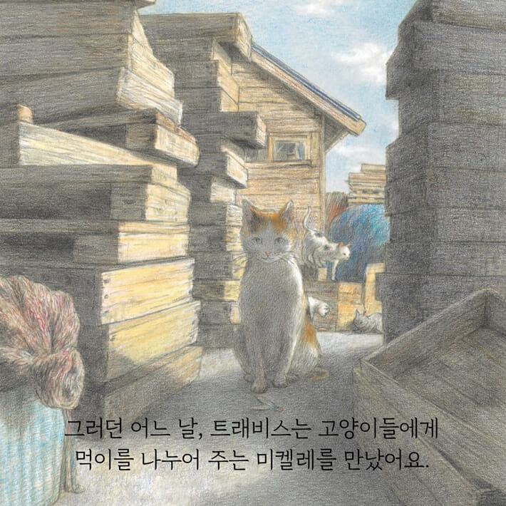 카드뉴스3
