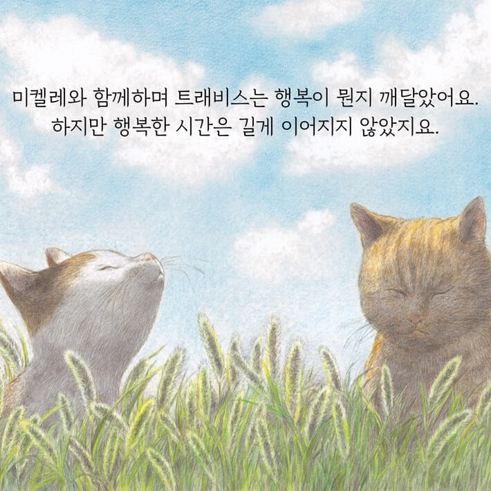 카드뉴스4