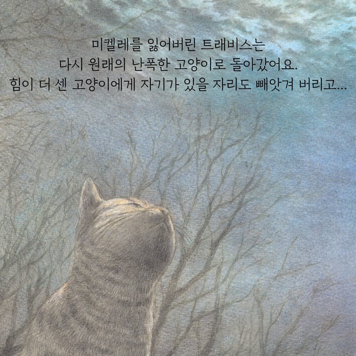 카드뉴스5