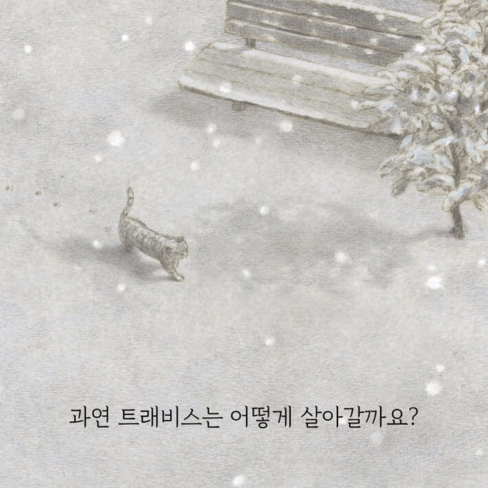 카드뉴스6