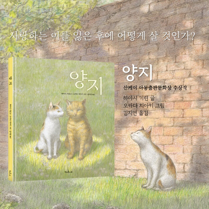 카드뉴스7