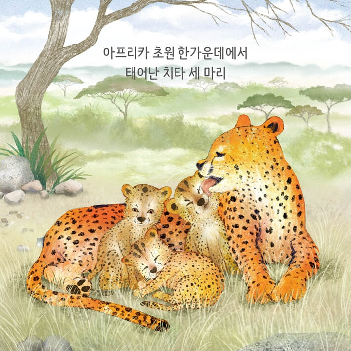 카드뉴스0